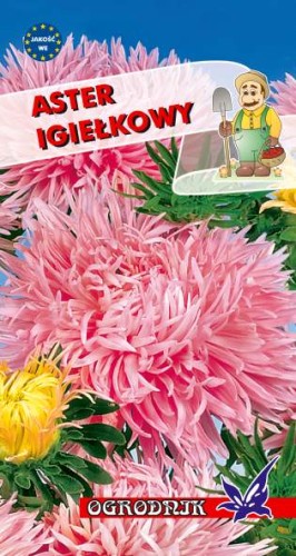 Aster igiełkowy różowy 1g  / O /