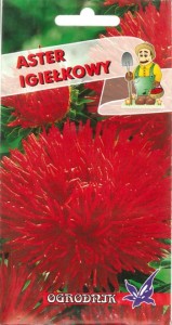 Aster igiełkowy czerwony 1g  / O /