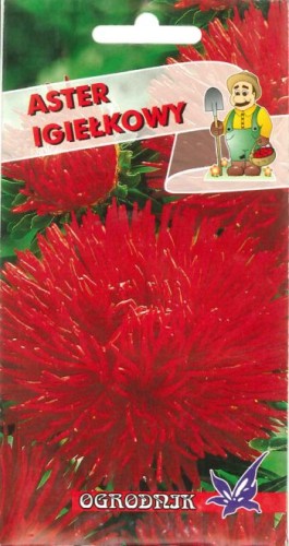 Aster igiełkowy czerwony 1g  / O /
