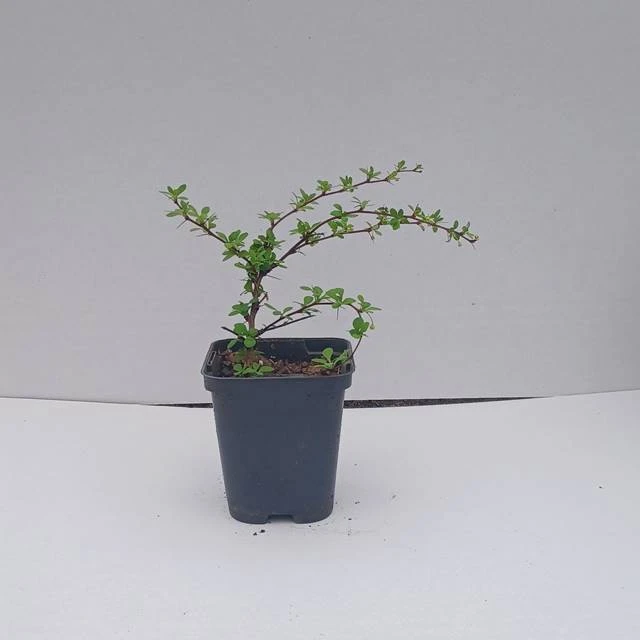 59.jpg