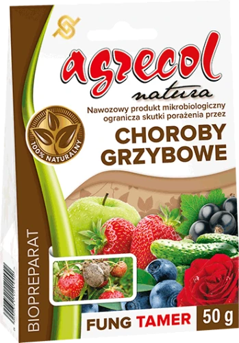 Preparat na choroby grzybowe Fung TAMER 50 g