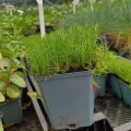 A3610(1).jpg