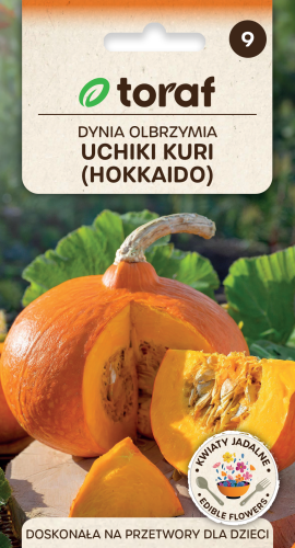 NEW-LOGO-Dynia-Uchiki-Kuri.png