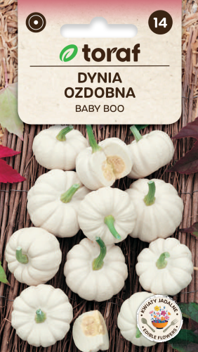 NEW-LOGO-Dynia-ozdobna-BABY-BOO.png
