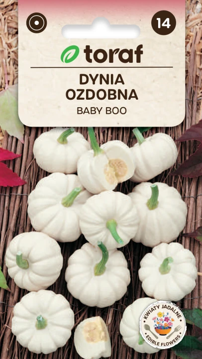NEW-LOGO-Dynia-ozdobna-BABY-BOO.png