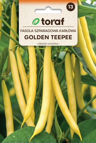 NEW-LOGO-Fasola-szparagowa-zolta-GOLDEN-TEEPEE.png