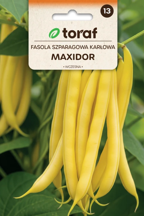 NEW-LOGO-Fasola-szparagowa-zolta-MAXIDOR.png