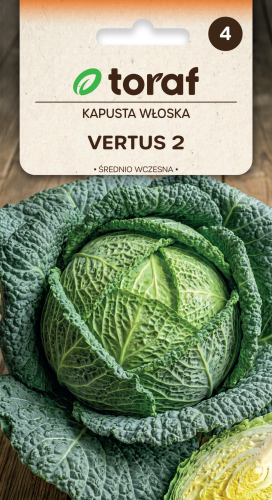 NEW-LOGO-Kapusta-wloska-VERTUS-2.png