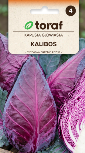 NEW-LOGO-Kapusta-KALIBOS.png