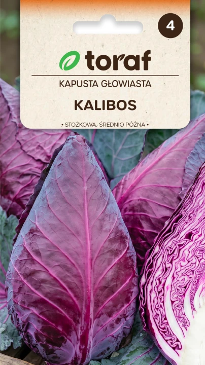 NEW-LOGO-Kapusta-KALIBOS.png