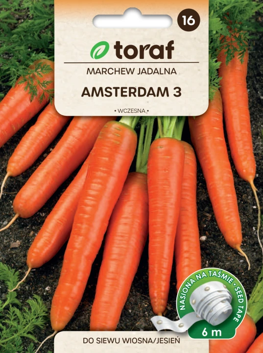 NEW-LOGO-Marchew-Amsterdam-tasma.png