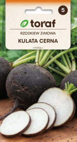 nasiona-rzodkiew-kulata-cerna-producent-nasion-toraf-300x554.jpg