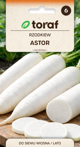 NEW-LOGO-Rzodkiew-ASTOR.png