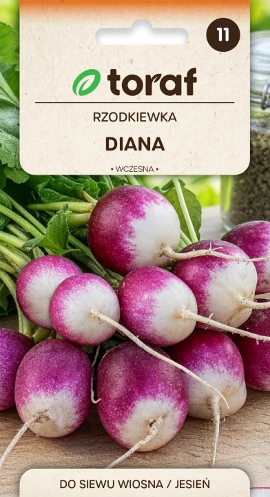 NEW-LOGO-Rzodkiewka-DIANA.png