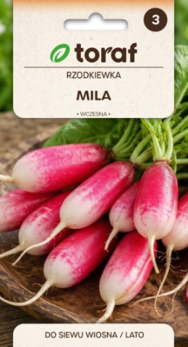 Nasiona-rzodkeiwka-MILA-producent-toraf-300x550.jpg