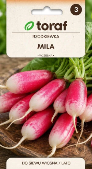 Nasiona-rzodkeiwka-MILA-producent-toraf-300x550.jpg