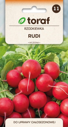 nasiona-rzodkiewka-wczesna-rudi-producent-nasion-toraf.jpg