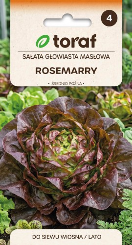nasiona-salata-maslowa-rosemarry-producent-nasion-toraf.jpg