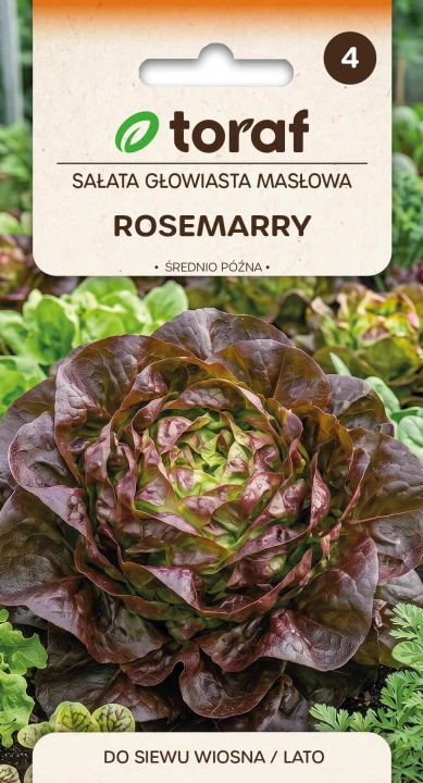 nasiona-salata-maslowa-rosemarry-producent-nasion-toraf.jpg