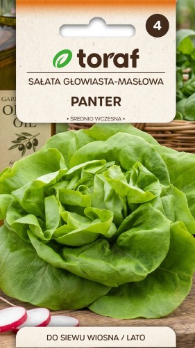 Nasiona-salata-maslowa-PANTER-toraf.jpg