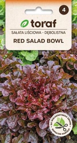 nasiona-salata-red-salad-bowl-producent-nasion-toraf.jpg