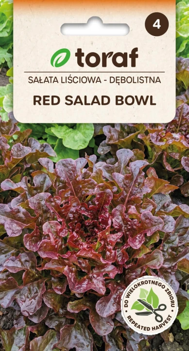 nasiona-salata-red-salad-bowl-producent-nasion-toraf.jpg