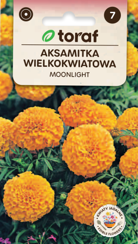 NEW-LOGO-Aksamitka-wielkokwaiatowa-MOONLIGHT-pomaranczowa.png