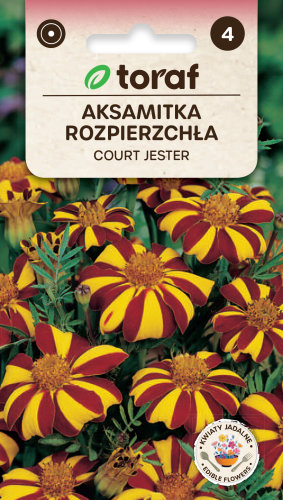 NEW-LOGO-Aksamitka-COURT-JESTER.png