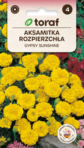 NEW-LOGO-Aksamitka-rozpierzchla-GYPSY-SUNSHINE.png
