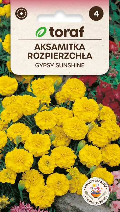 NEW-LOGO-Aksamitka-rozpierzchla-GYPSY-SUNSHINE.png