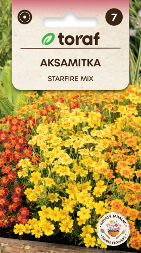 NEW-LOGO-Aksamitka-STARFIRE.png