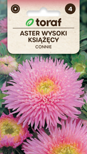 NEW-LOGO-Aster-ksiazecy-CONNIE.png