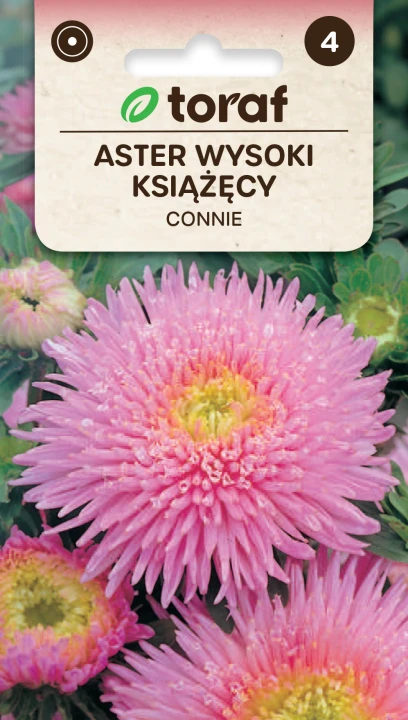 NEW-LOGO-Aster-ksiazecy-CONNIE.png