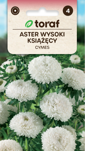 NEW-LOGO-Aster-ksiazecy-CYMES.png