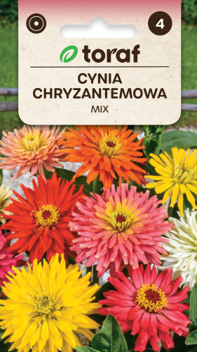 NEW-LOGO-Cynia-chryzantemowa-MIX.png