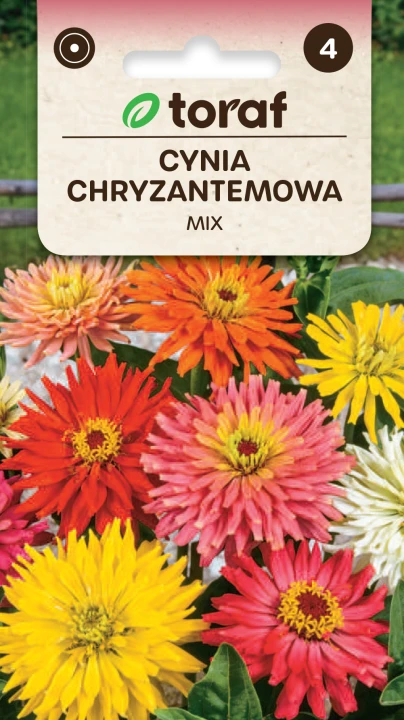 NEW-LOGO-Cynia-chryzantemowa-MIX.png