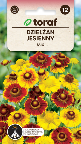NEW-LOGO-Dzielzan-jesienny.png