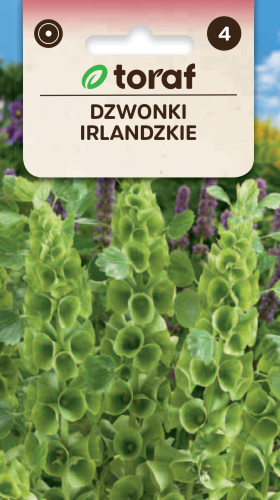 NEW-LOGO-Dzwonki-irlandzkie.png