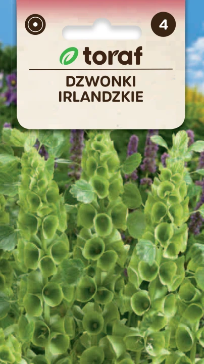 NEW-LOGO-Dzwonki-irlandzkie.png