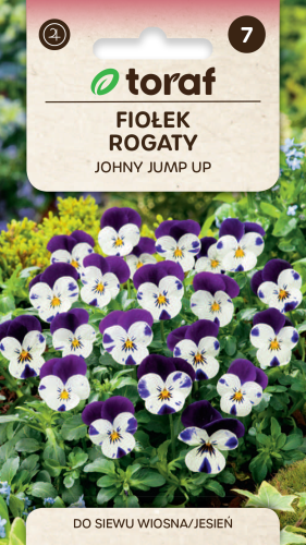 NEW-LOGO-Fiolek-rogaty-JOHNY-JUMP-UP.png