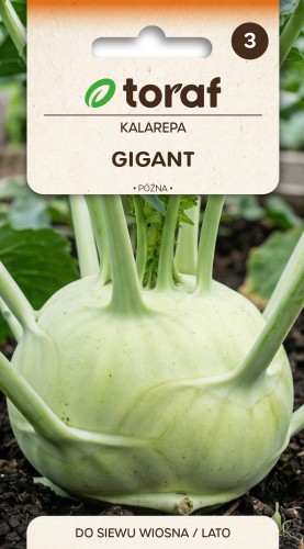 Torebka-nasiona-kalarepa-gigant-toraf.jpg