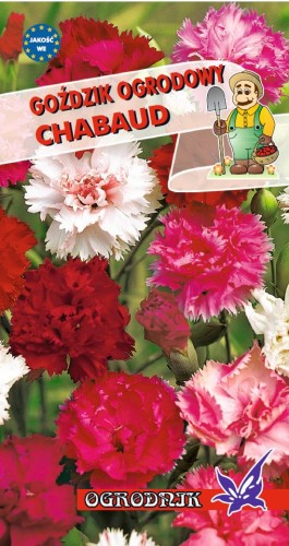 chabaud.jpg