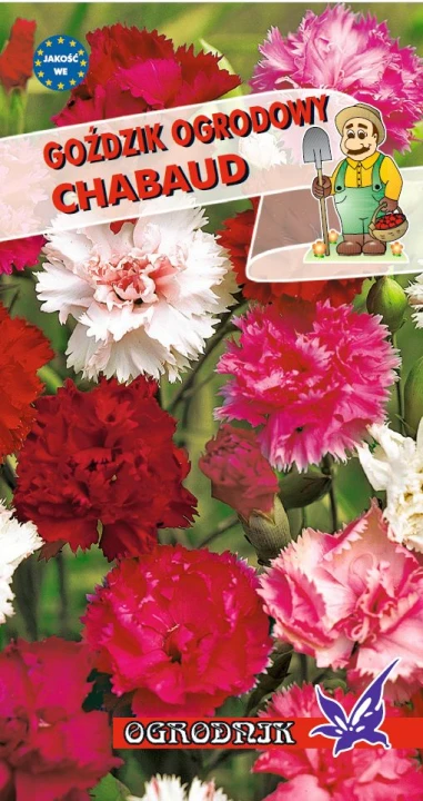 chabaud.jpg