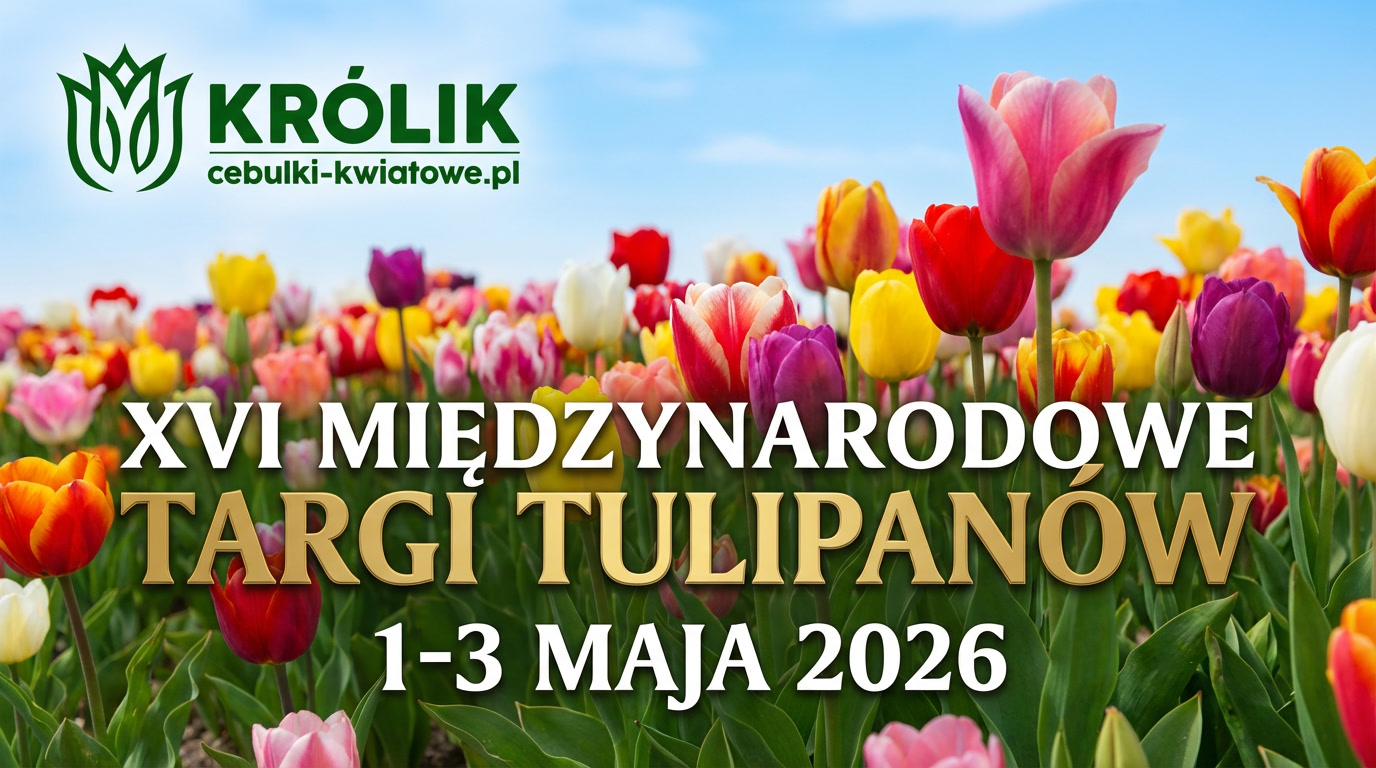 XVI Międzynarodowe targi Tulipanów
